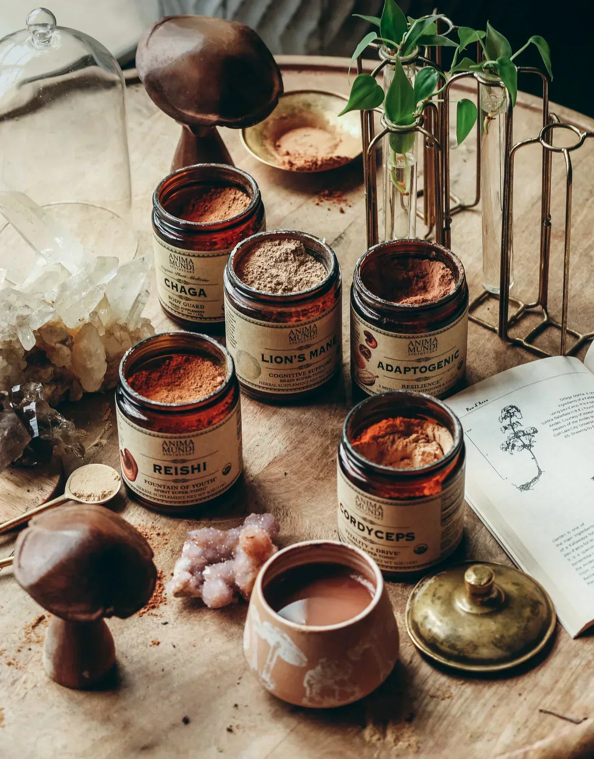 Anima Mundi : Le Guide Ultime de l’Herboristerie Sacrée