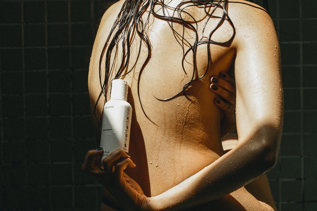 Shampoo – Reverie