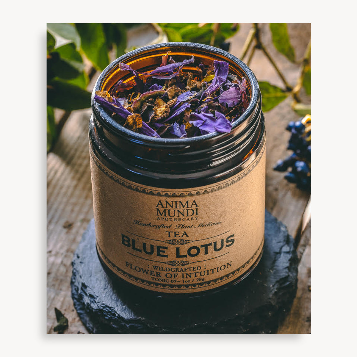 Blue Lotus - Anima Mundi