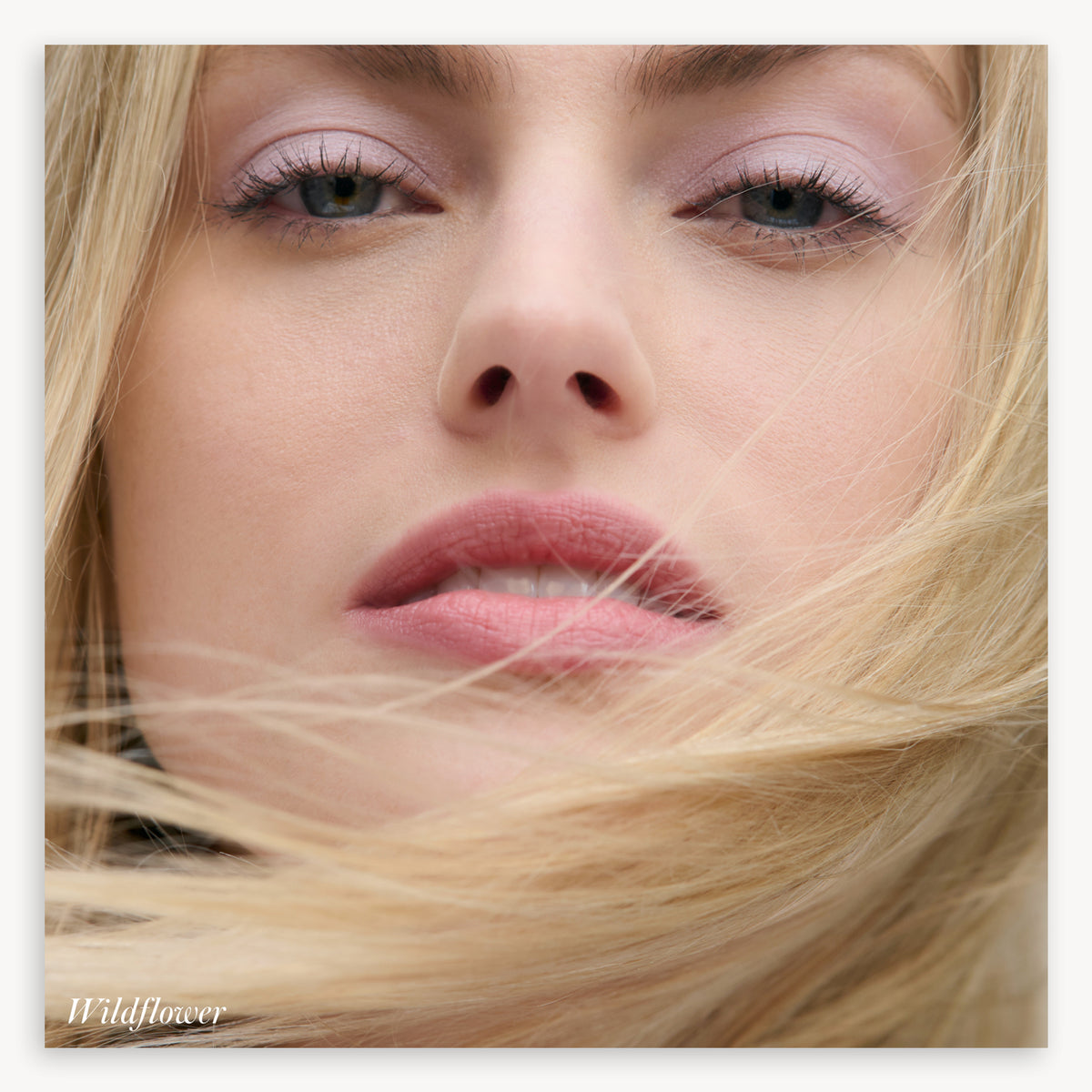 Cashmere Matte Eyelights - RMS Beauty - Wildflower