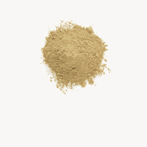 Chaga - Anima Mundi