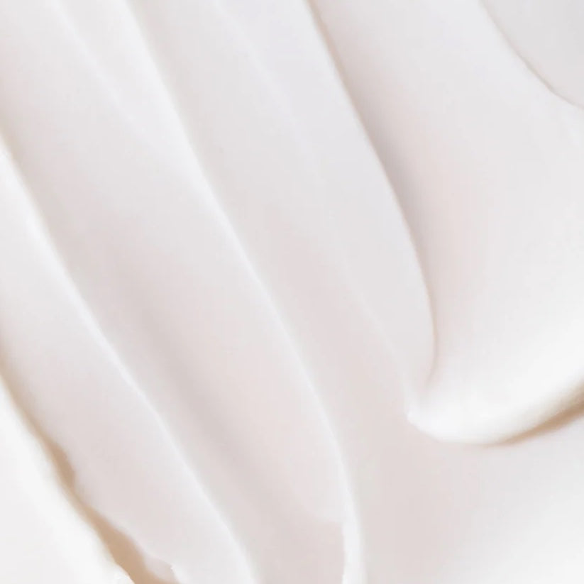 SeaDream Algae Creme