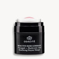 Gommage Bioactif à la Rose - Ananas + Acide Hyaluronique - Odacité