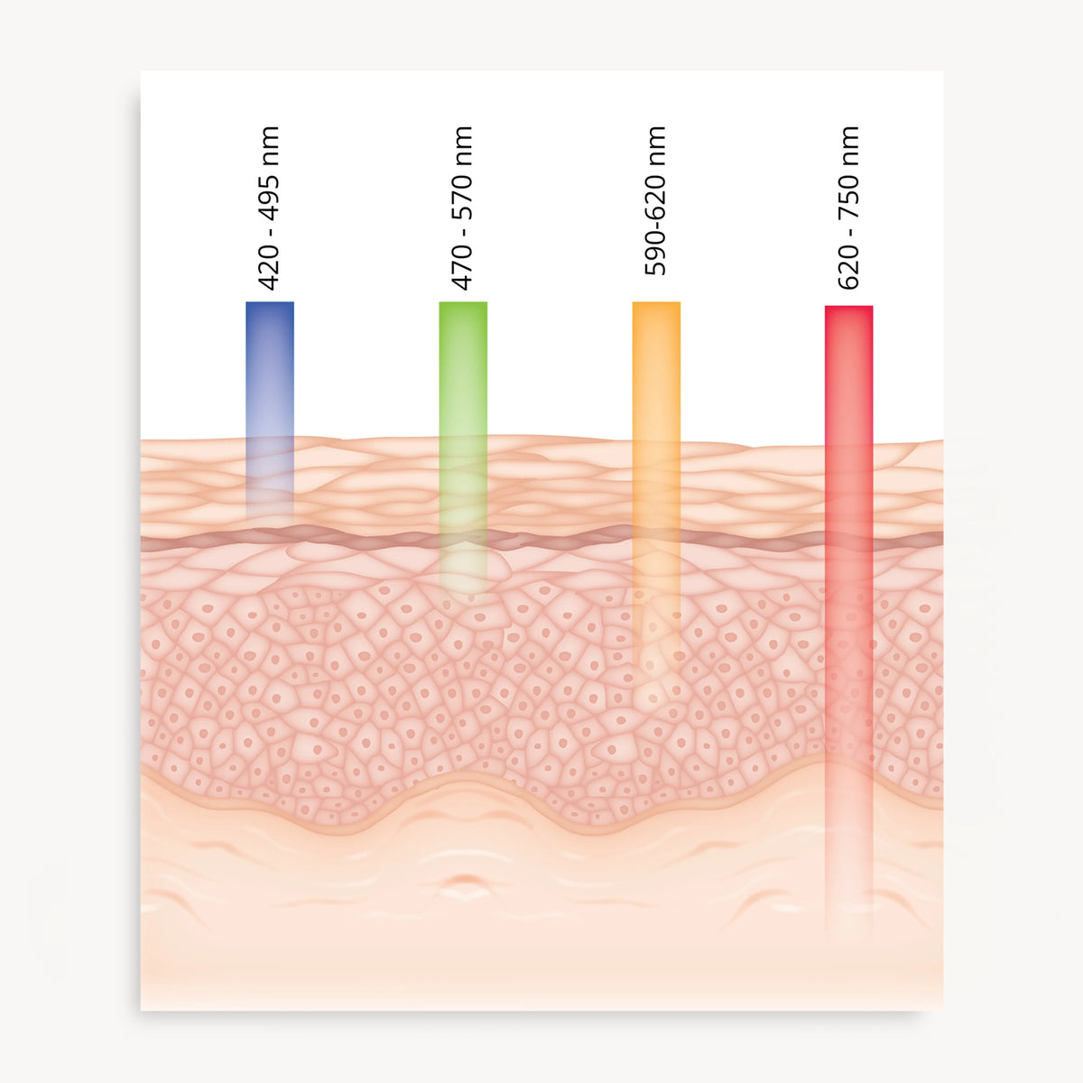 How to glow - Masque LED pour le visage Light Therapy - Solaris Laboratories NY