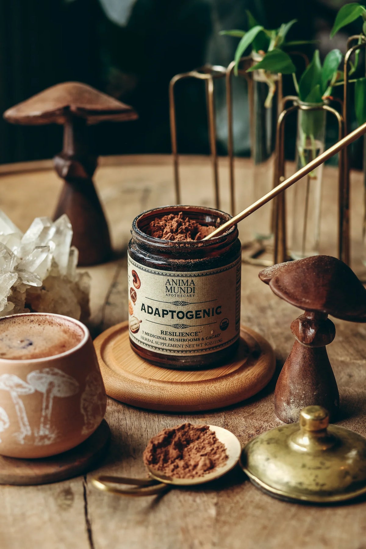 Adaptogenic Powder – Anima Mundi