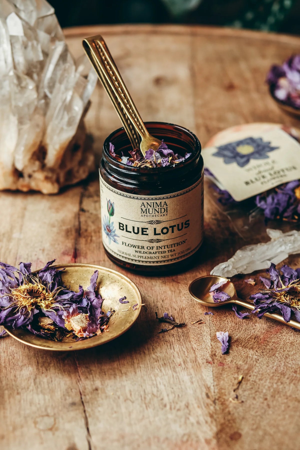 Blue Lotus – Anima Mundi