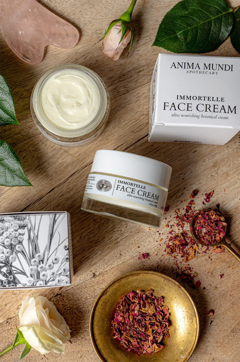 Crème Visage Immortelle - Anima Mundi. Pot ouvert pour voir la texture
