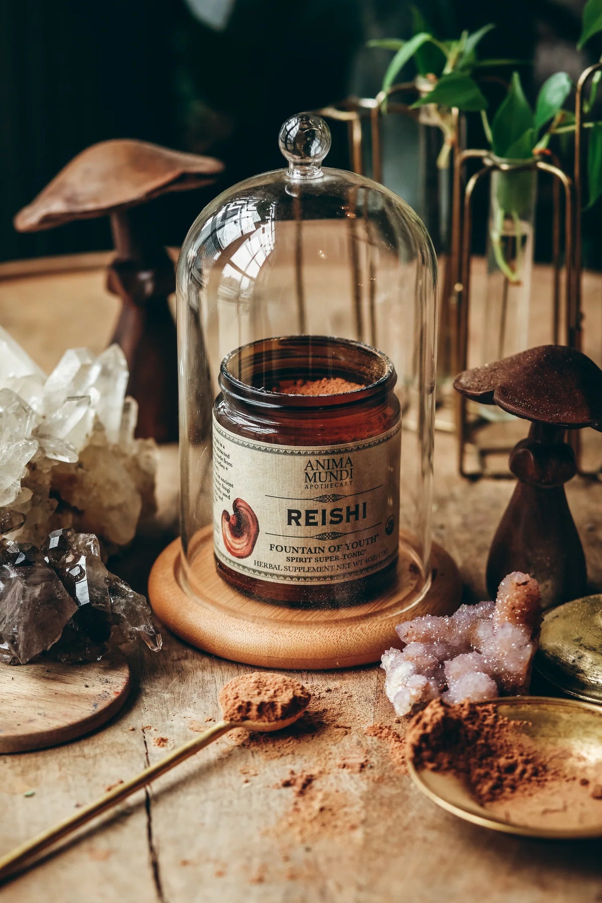 Reishi – Anima Mundi